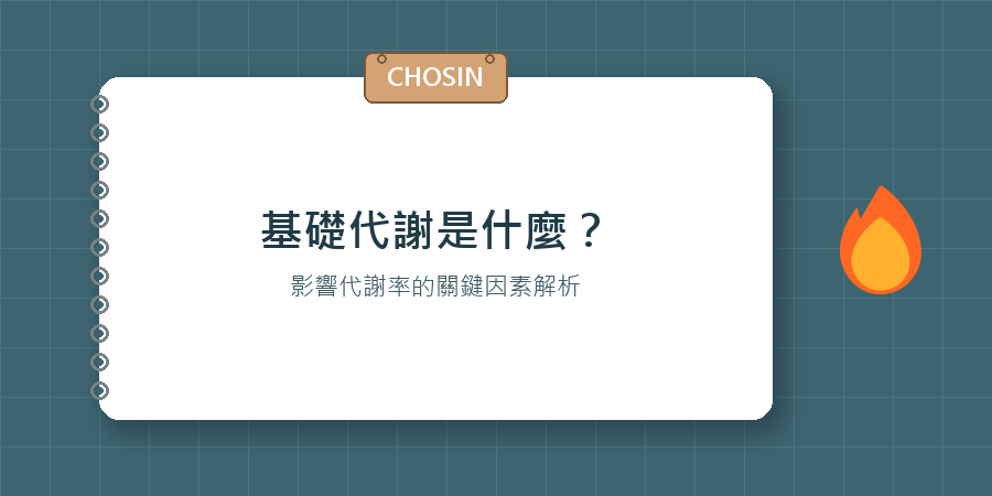 基礎代謝是什麼（影響代謝率）