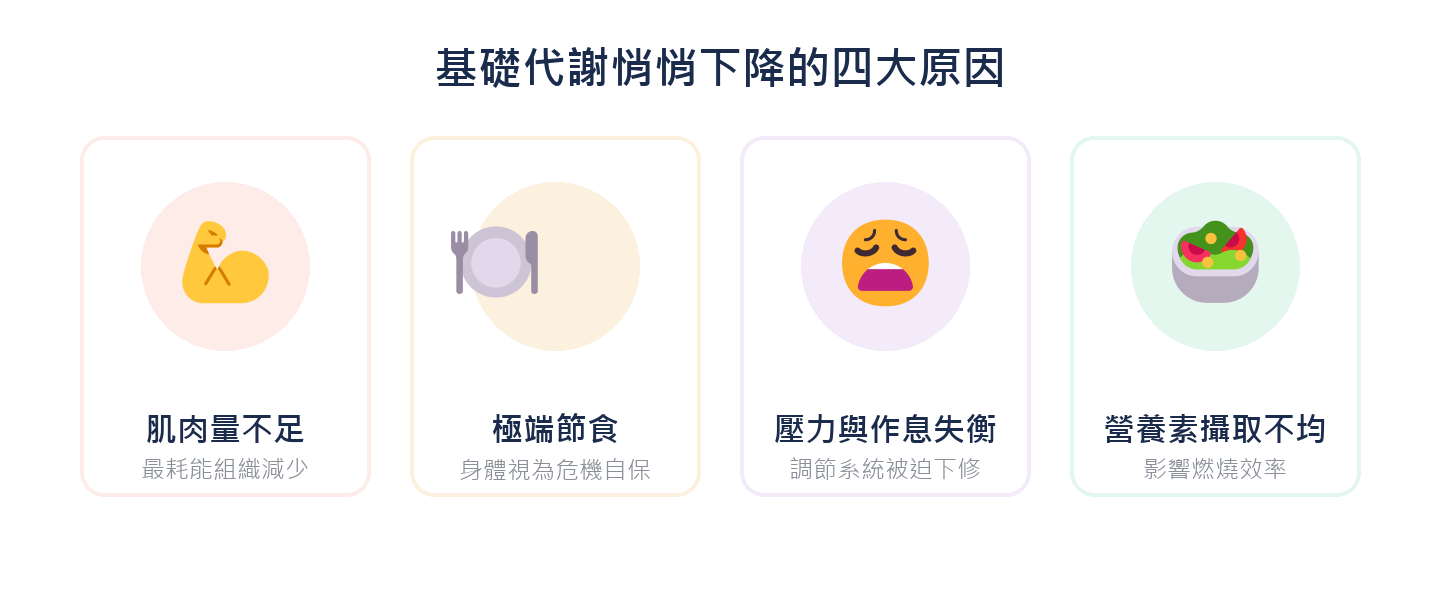基礎代謝悄悄下降的四大原因:肌肉量不足、極端節食、壓力與作息失衡、營養素攝取不均