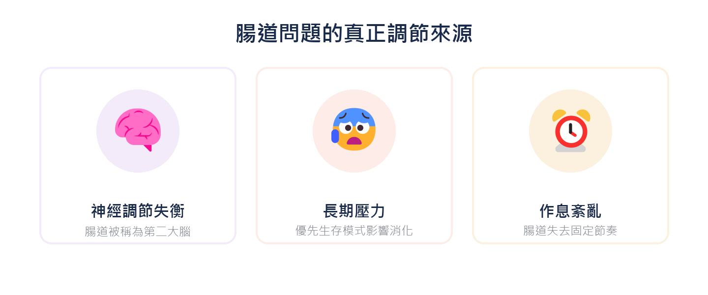 腸道問題的真正調節來源：神經調節失衡、長期壓力、作息紊亂