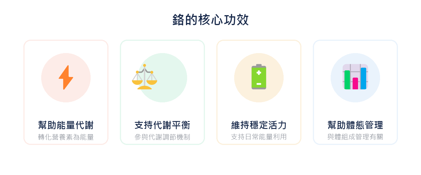 鉻的核心功效：幫助能量代謝、支持代謝平衡、維持穩定活力、幫助體態管理