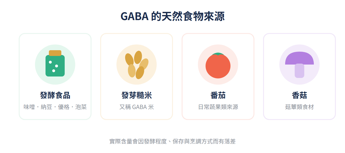 GABA的天然食物來源示意圖：發酵食品、發芽糙米、番茄、香菇