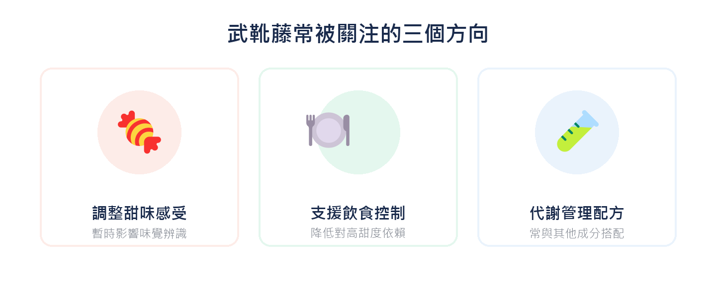 武靴藤常被關注的三個方向：調整甜味感受、支援飲食控制、代謝管理配方