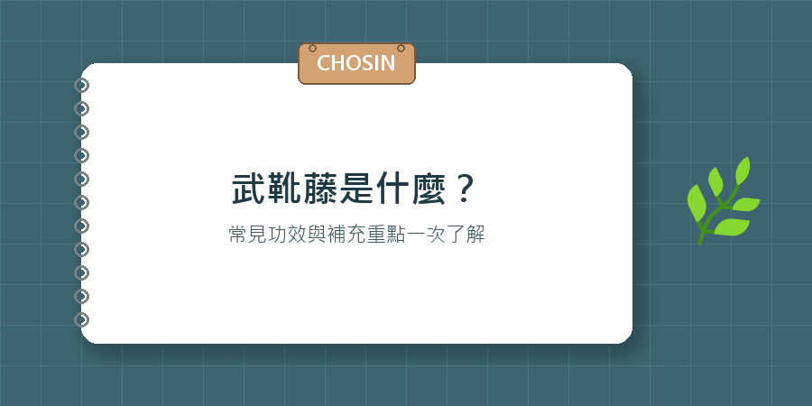 武靴藤是什麼
