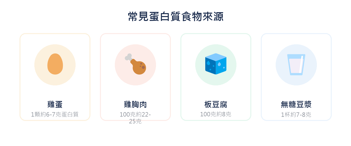 常見蛋白質食物來源