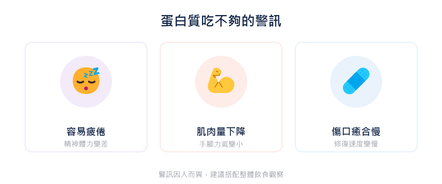 蛋白質吃不夠的警訊