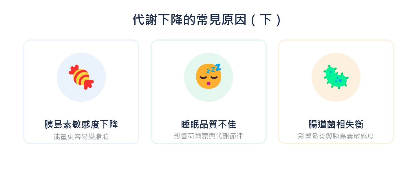 代謝下降的常見原因：胰島素敏感度下降、睡眠品質不佳、腸道菌相失衡
