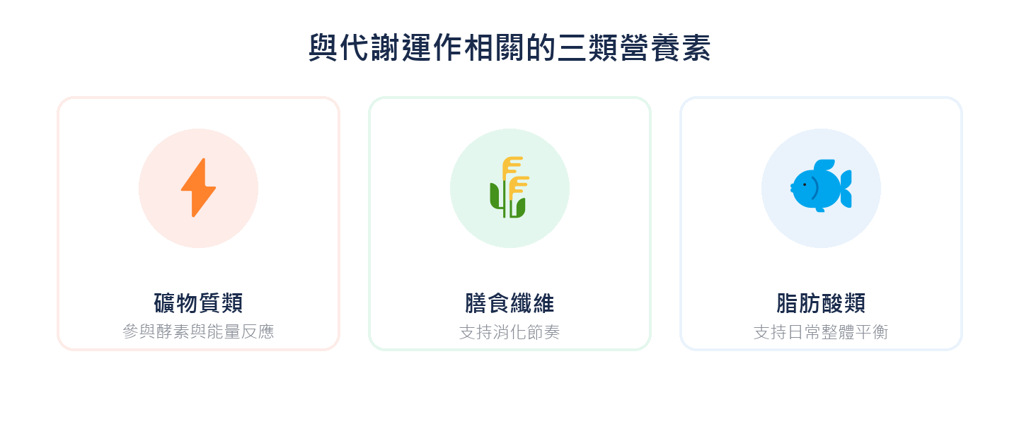 與代謝運作相關的三類營養素：礦物質類、膳食纖維、脂肪酸類