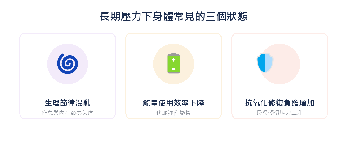 長期壓力下身體常見的三個狀態：生理節律混亂、能量使用效率下降、抗氧化修復負擔增加
