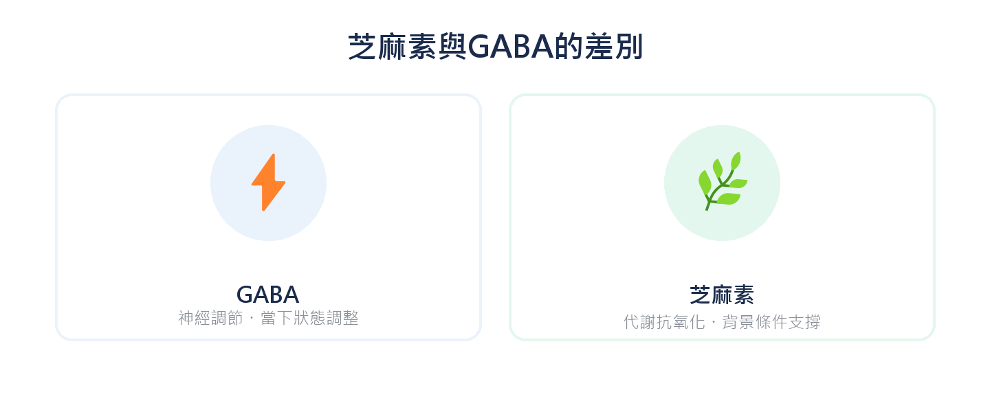 芝麻素與GABA的差別：GABA神經調節當下狀態、芝麻素代謝抗氧化背景條件