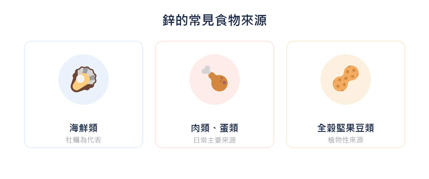 鋅的常見食物來源：海鮮類、肉類蛋類、全穀堅果豆類