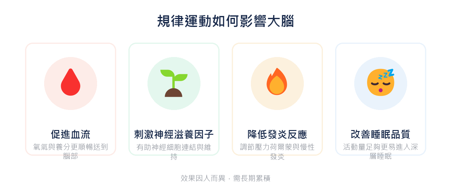 規律運動如何影響大腦