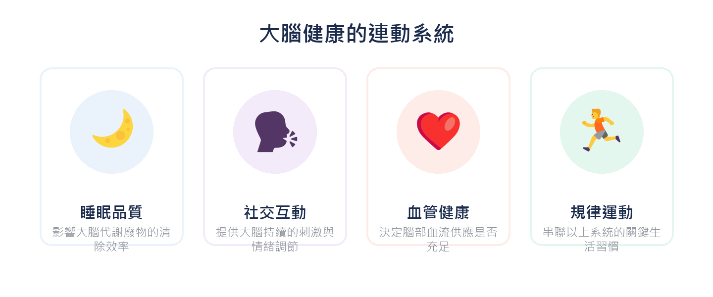 大腦健康的連動系統